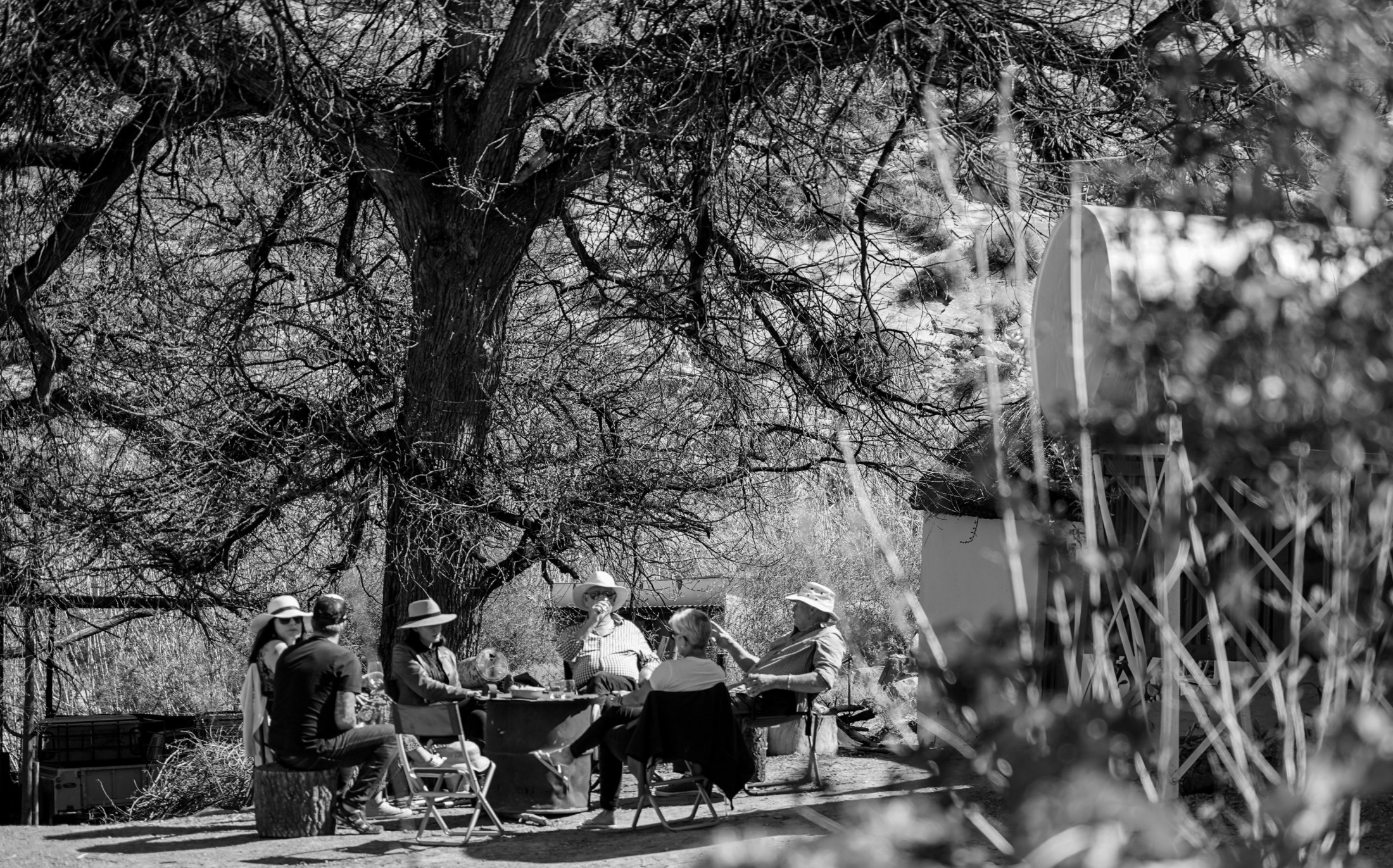 Monty and David in living colour